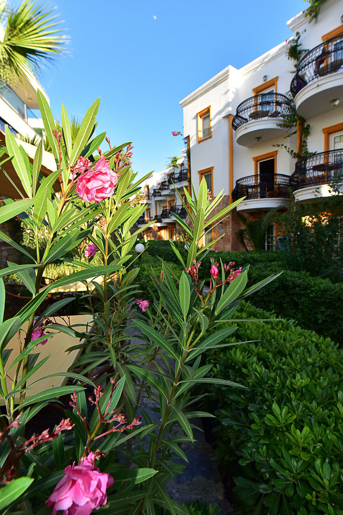 Hotel Tropicana Beach Gümbet Esterno foto